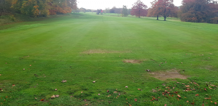 An example of how the turf quality has improved since Stoke Rochford Golf Club started treating the greens with Maxstim biostimulants