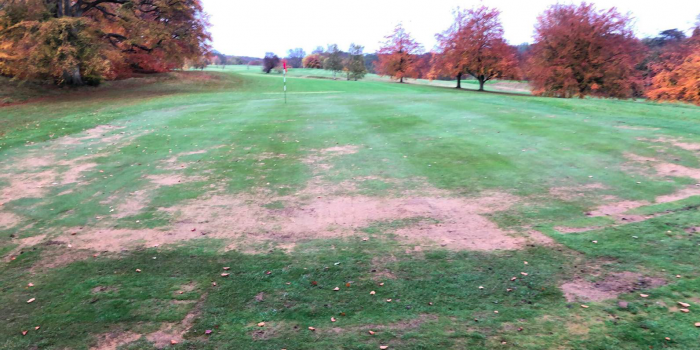 Examples of damaged and patchy turf at Stoke Rochford Golf Club