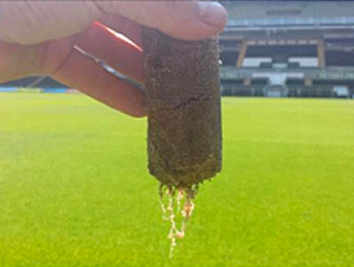 A hand holding an example of dense root structure in front of the pitch at Liberty stadium