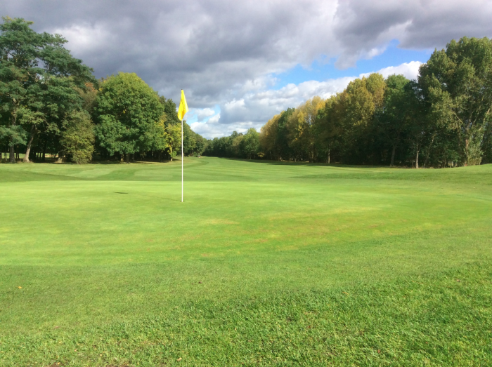 A green at Hersham Golf Club showing visibly healthier turf