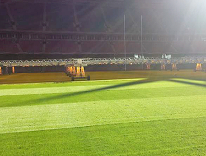 The pitch at millenium stadium showing healthy turf after Maxstim biostimulants were used to improve root growth
