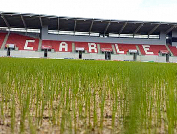 Grass shoots on the pitch at Parc Y Scarlets as germination of the pitch turf begins