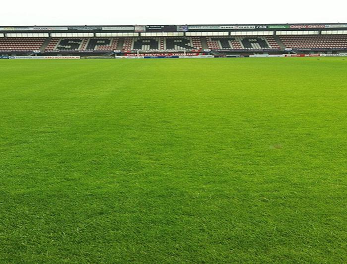 The healthy green turf on the pitch at Sparta Stadium after it was treated with Maxstim biostimulants
