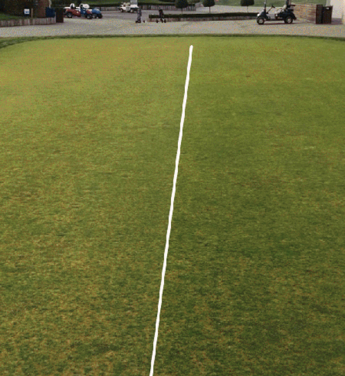 A putting green at le golf national with a line divide showing how one side of the green has improved with the application of Maxstim biostimulants