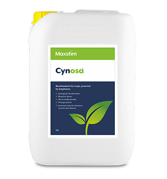 Bottle of Maxstim Cynosa silicon based biostimulant