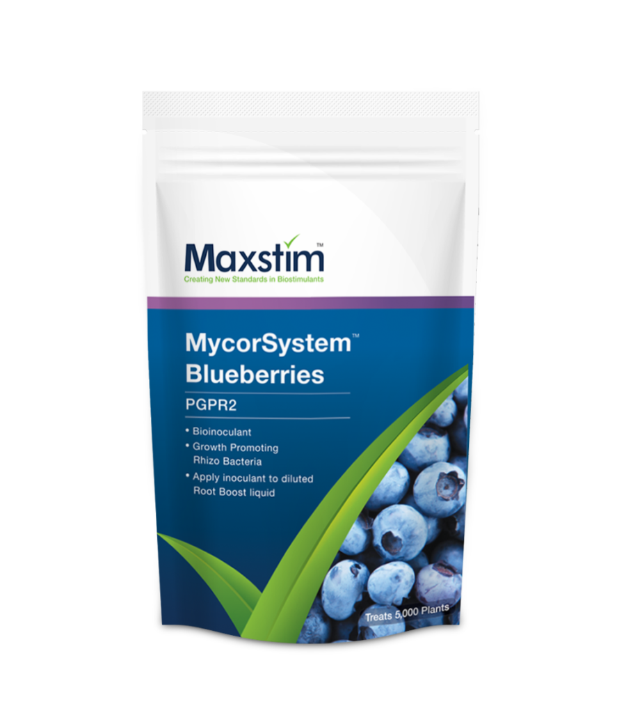 Pouch of Maxstim MycorSystem for blueberries
