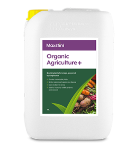 Bottle of Maxstim Organic Agriculture + biostimulant