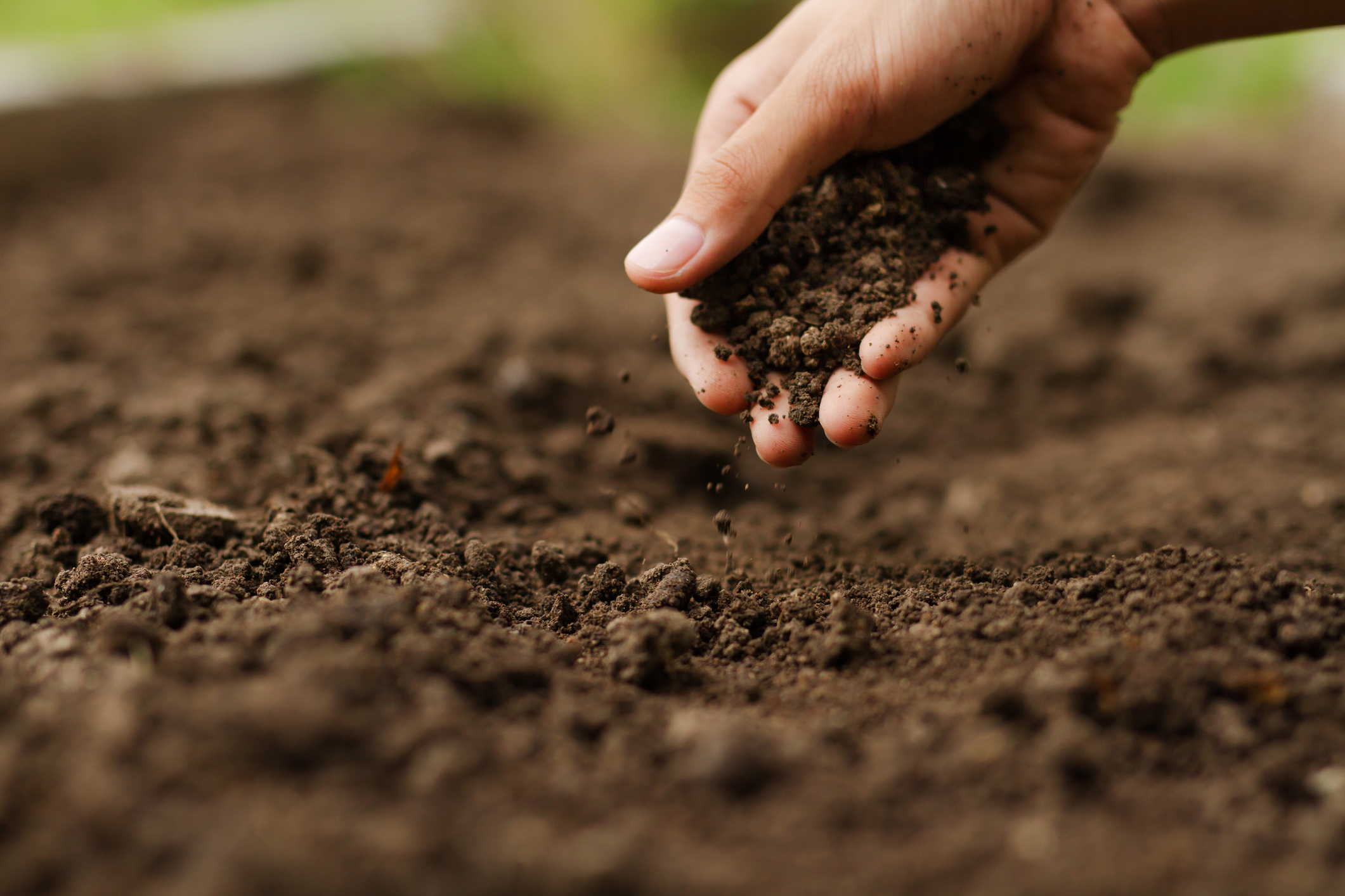 Can plant biostimulants improve soil structure?
