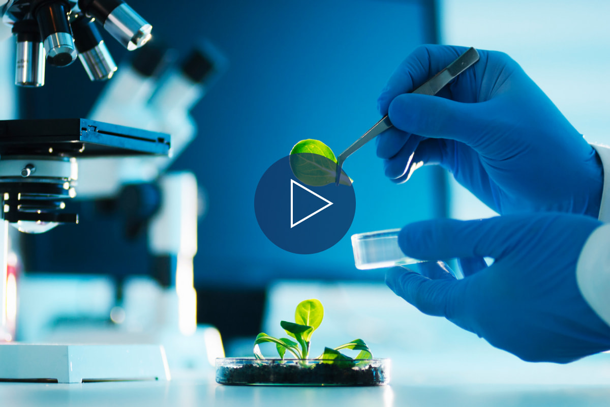 What are biostimulants?