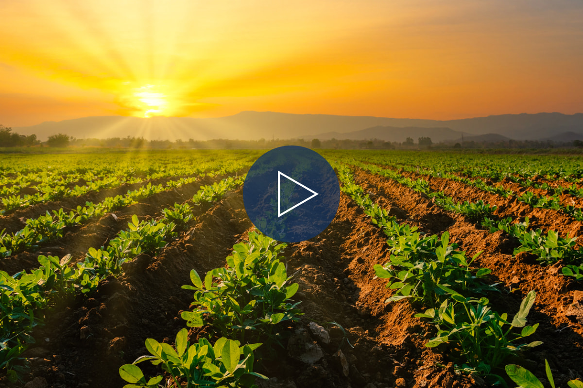 Why are biostimulants vital for agriculture?