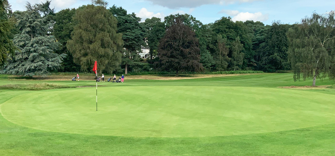 Farnham Golf Club sees a root mass increase of 52%