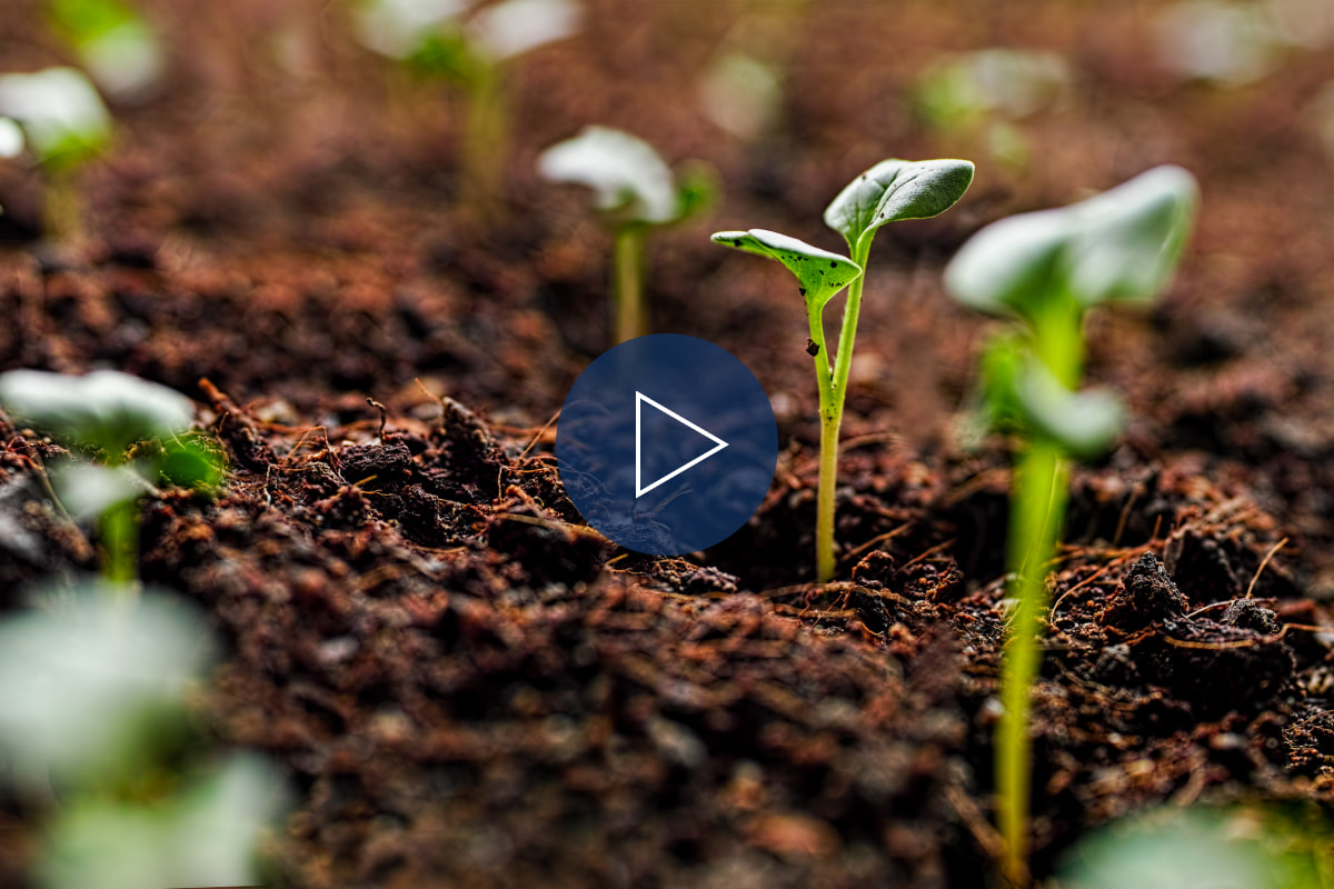 How can biostimulants improve germination?