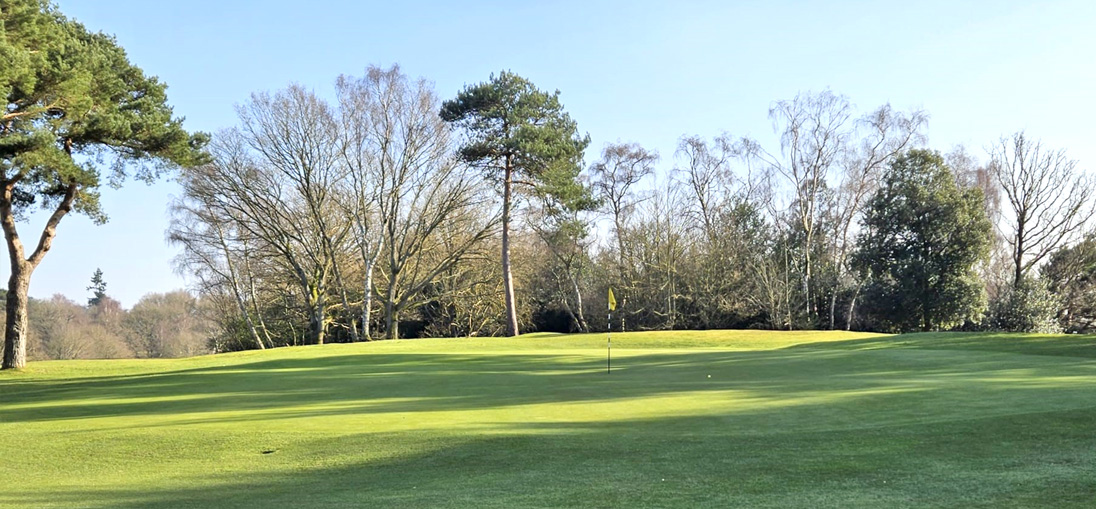 Puttenham Golf Course sees a 26% increase in root length in just 6 months on all greens treated with Maxstim products.
