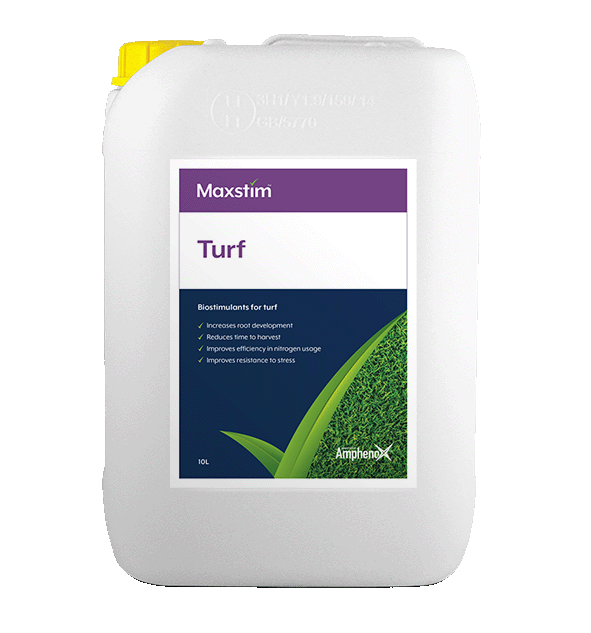Maxstim Turf