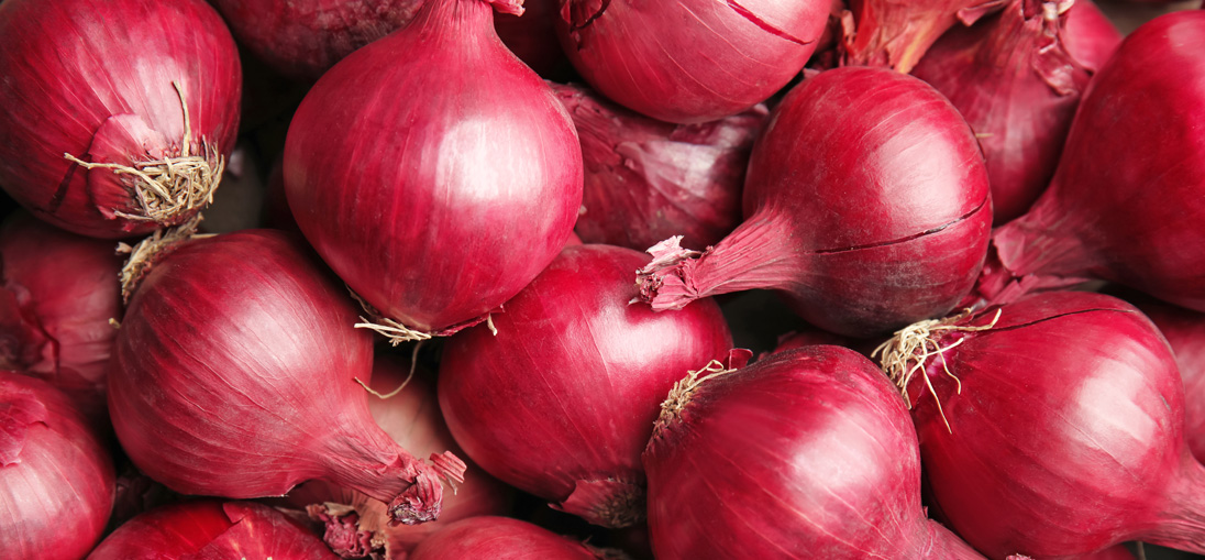 Red onion trial achieves impressive margin increase