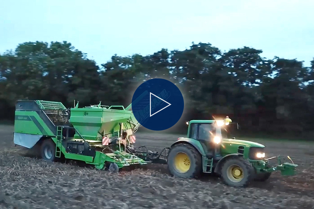 Increased potato yield