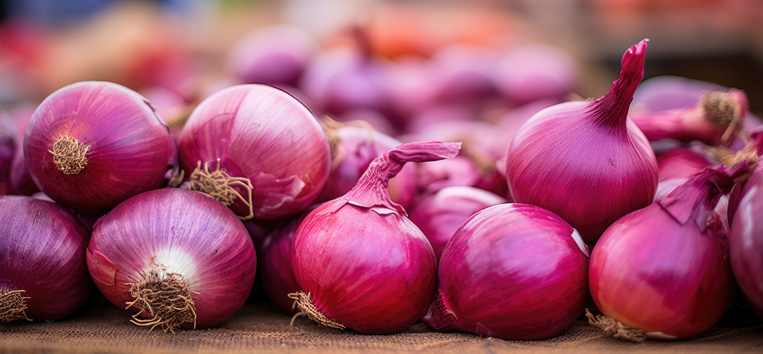 Onion trial shows yield increase with reduced fertiliser