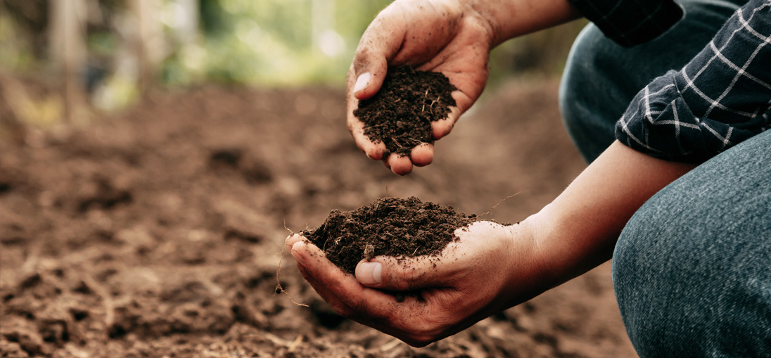 Soil health becomes a legal matter