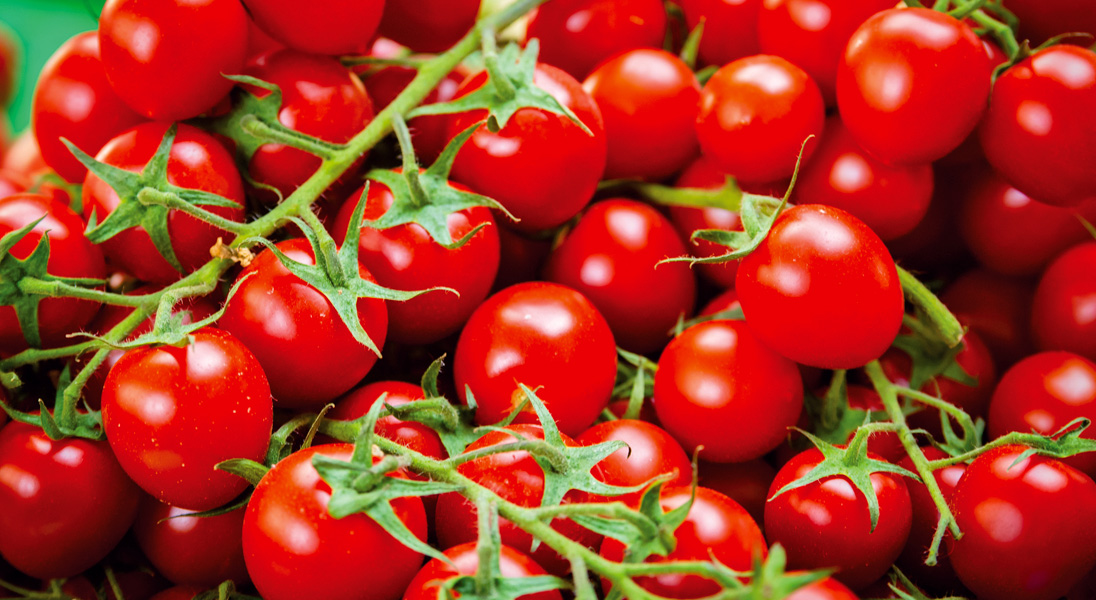 How to improve your cherry tomato crop