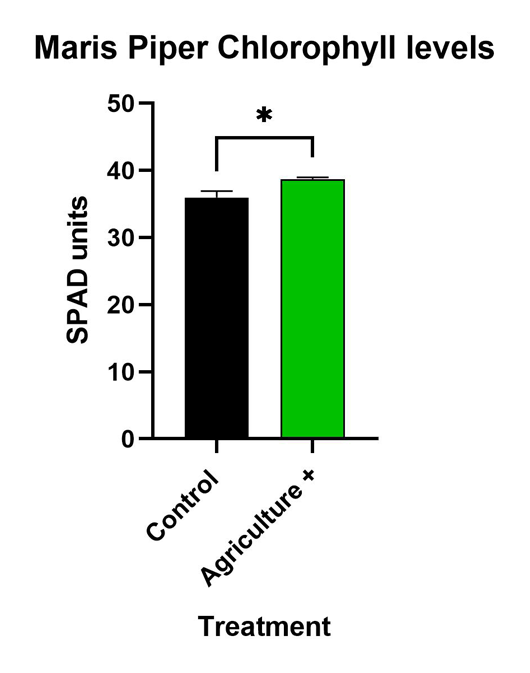 Chlorophyll levels