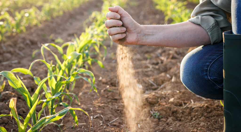 Sustainability and Soil Health