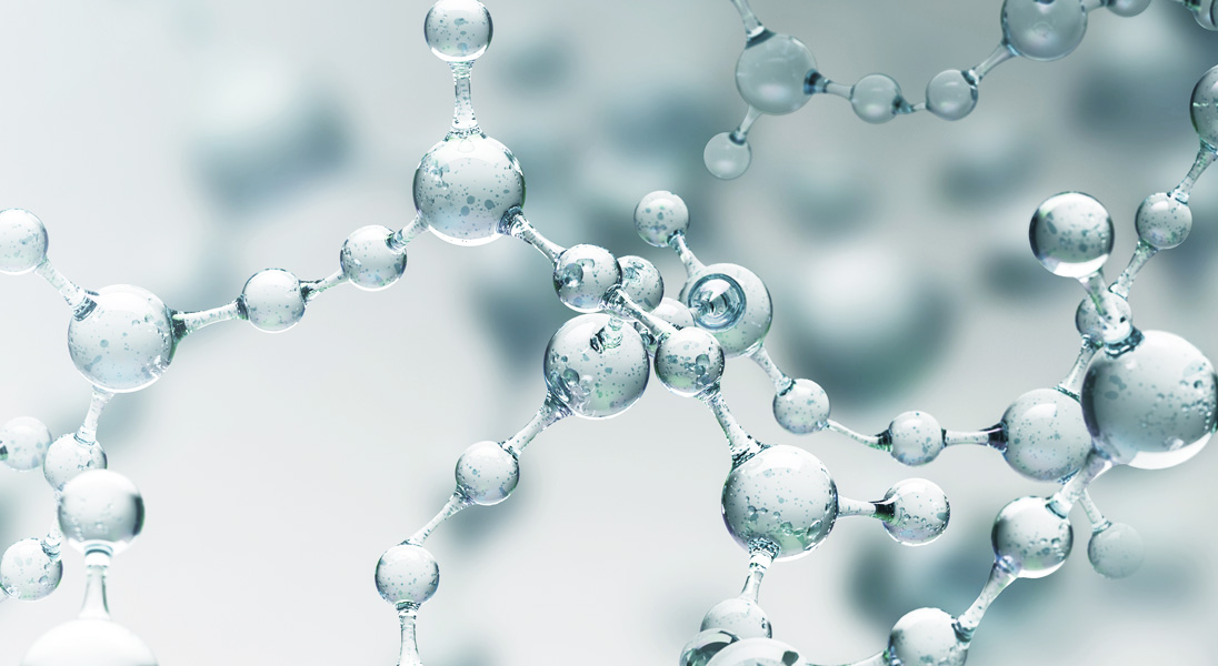 What are flavonoids?