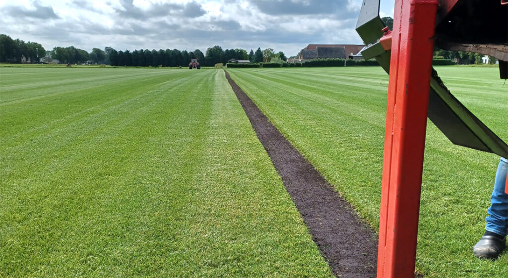 Cutting 9 month Turf