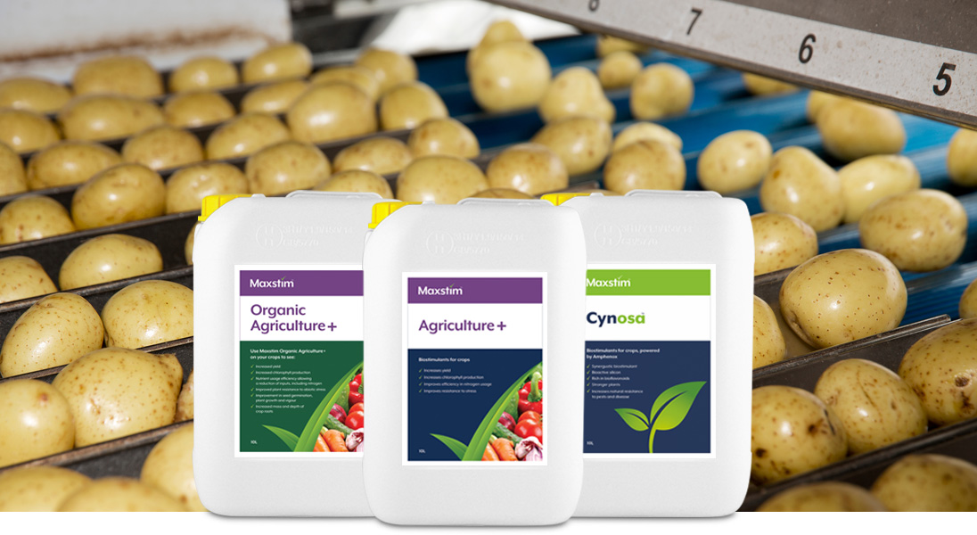 Why Maxstim’s complex treatments deliver where others fall short