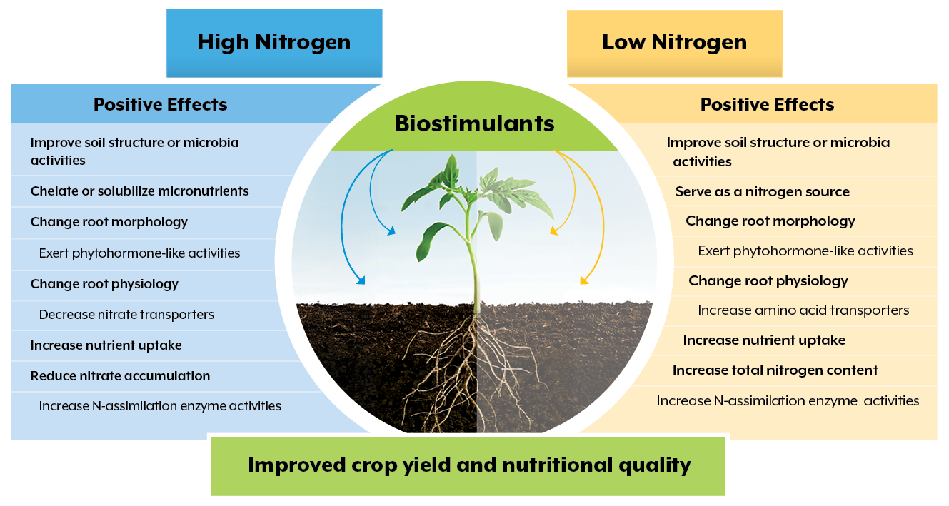 Soil Health and the Role of Biostimulants - Maxstim