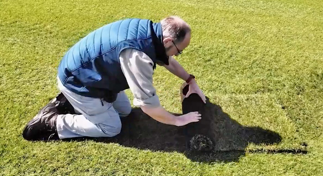 Why turf density matters