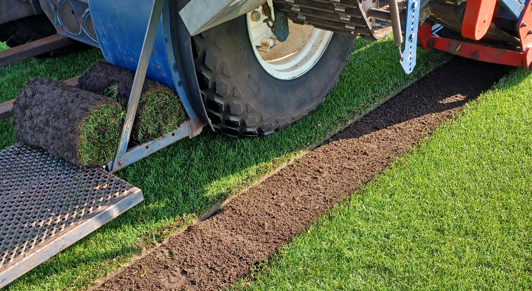 Consistent Turf