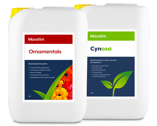 Maxstim Ornamentals 